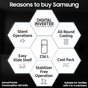 Samsung 236 L, 2 Star, Digital Inverter, Frost Free Double Door Refrigerator (RT28C3032GS/HL, Gray Silver, 2024 Model)